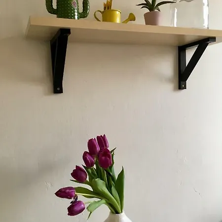 Blu In Old Town Appartement