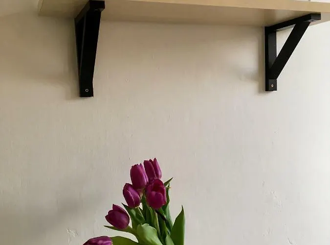 Blu In Old Town Appartement